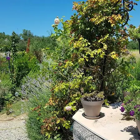 Les Gites Du Pont Vieux Carcassonne